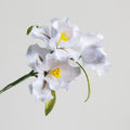 Handmade Ronghua- White Blossom Brooch