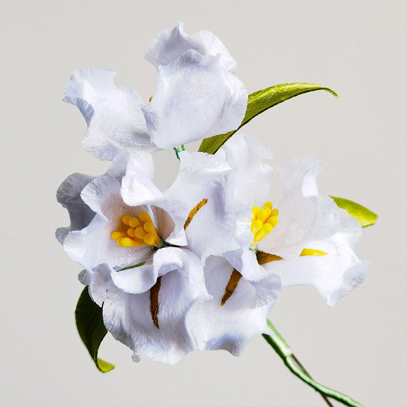 Handmade Ronghua- White Blossom Brooch